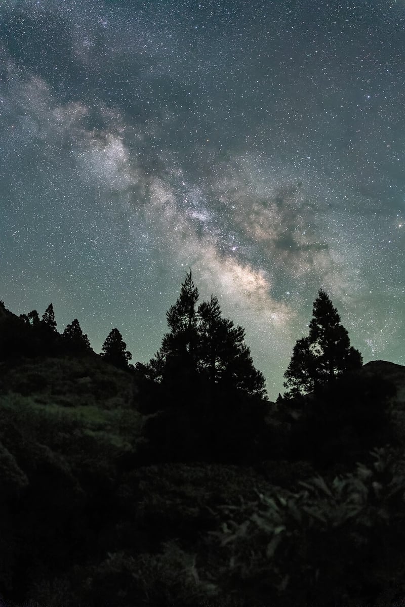 Redwood National Park, USA